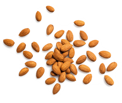 ingredients amandes